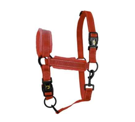 Monzo Headcollar, halter