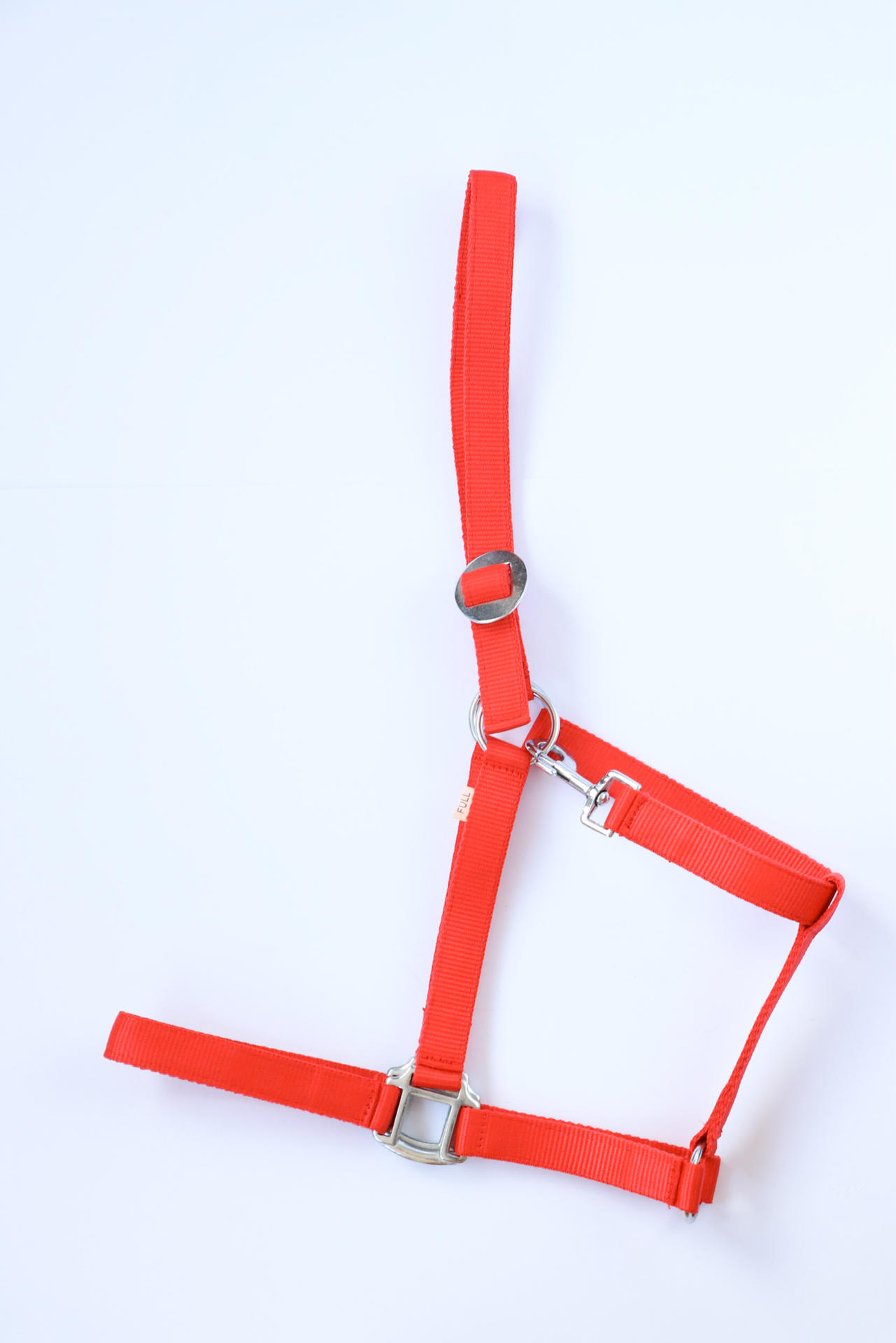 Apollo Nylon headcollar