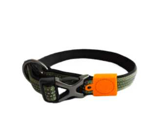 Dog basic collar S