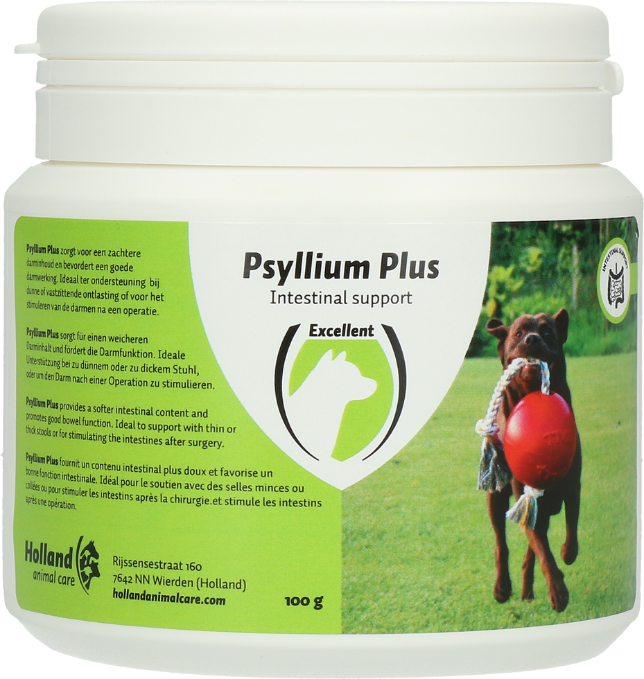 Intestinal tract strengthening for dogs