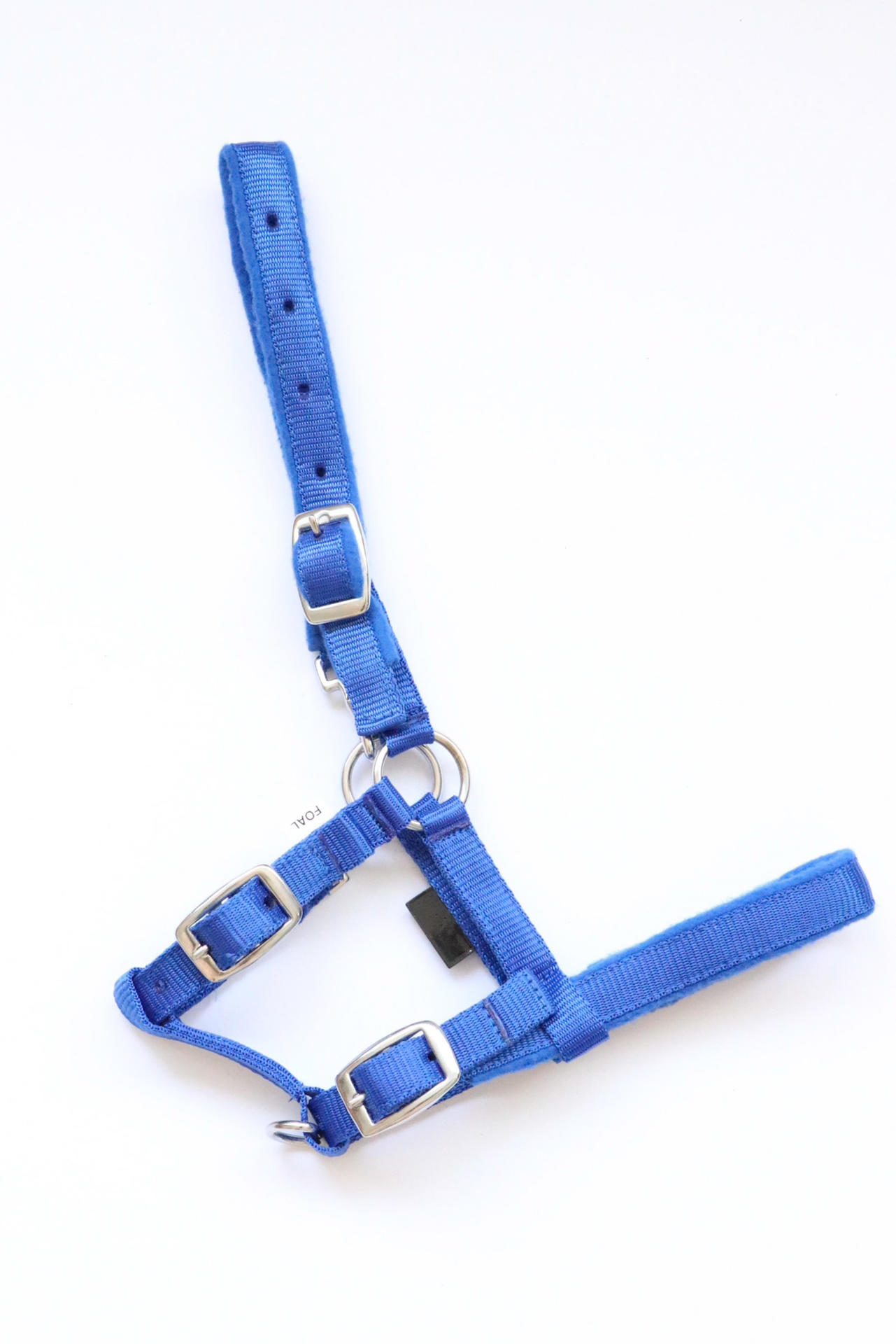 Melfi headcollar, halter for foal