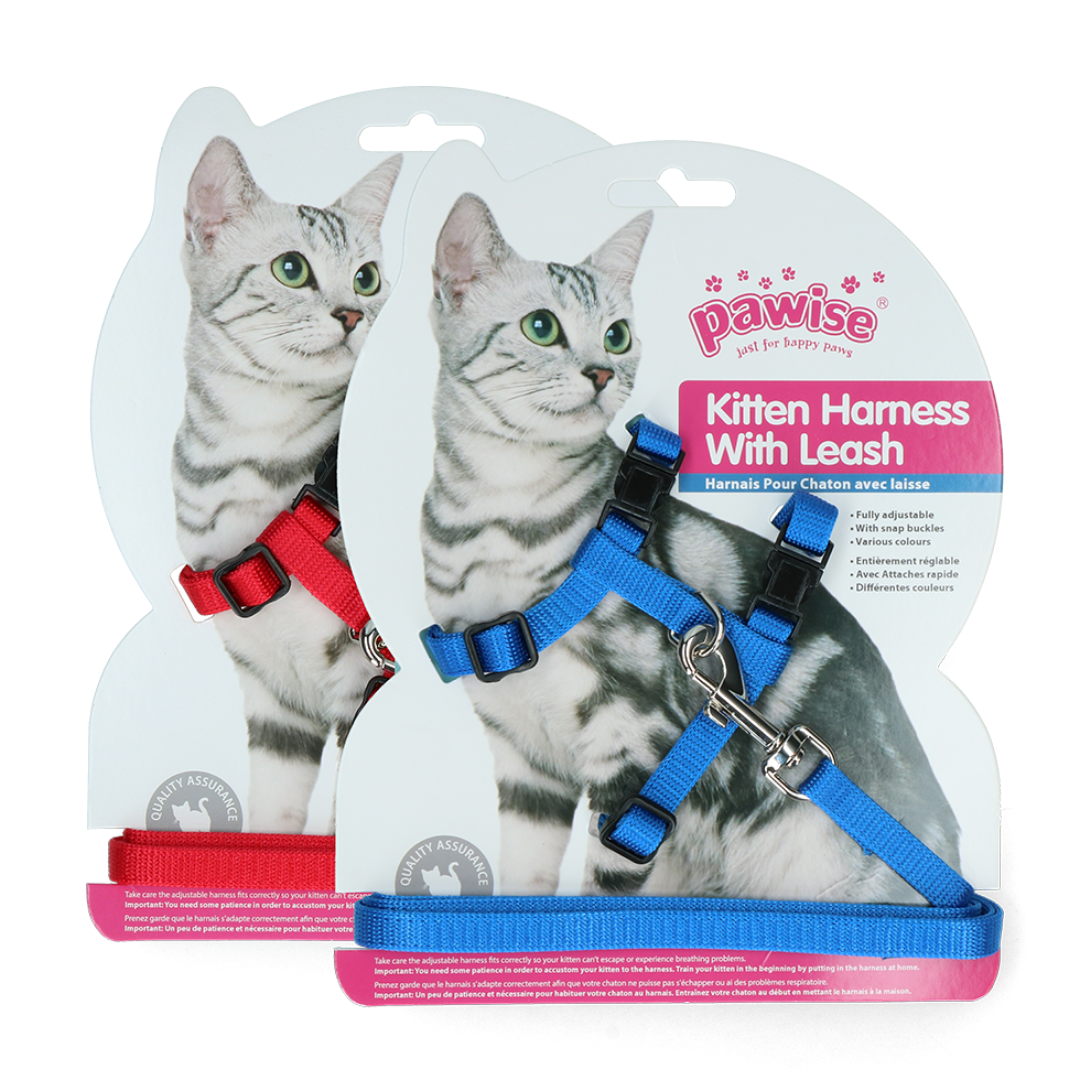 Cat harness leash-red / blue, cat harness