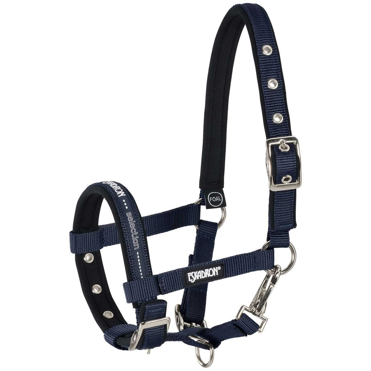 Nylon halter for foals