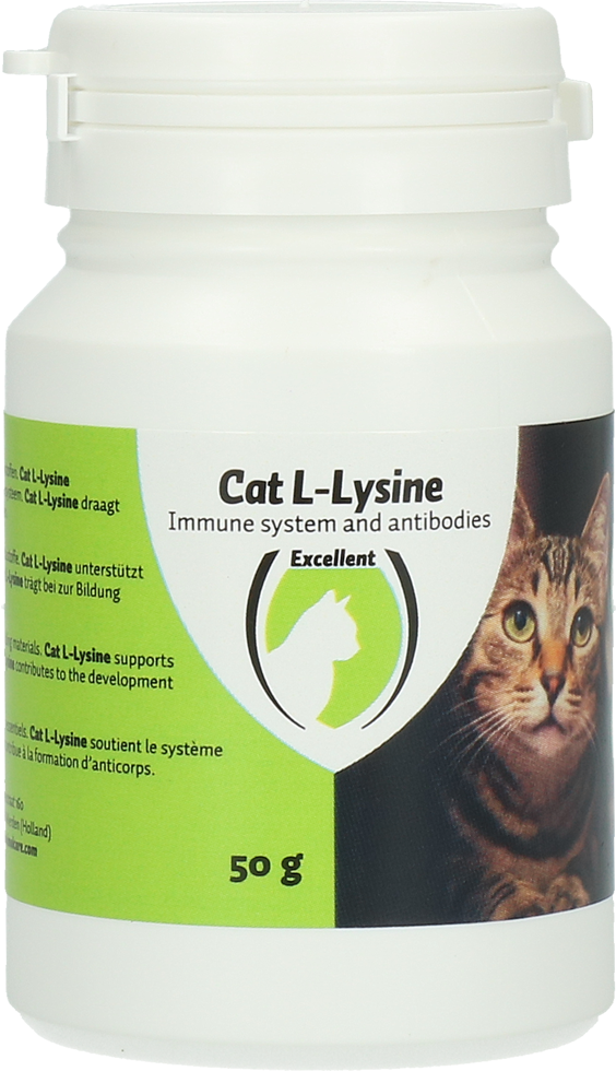 L-lysine, cat multivitamin and food supplement, health