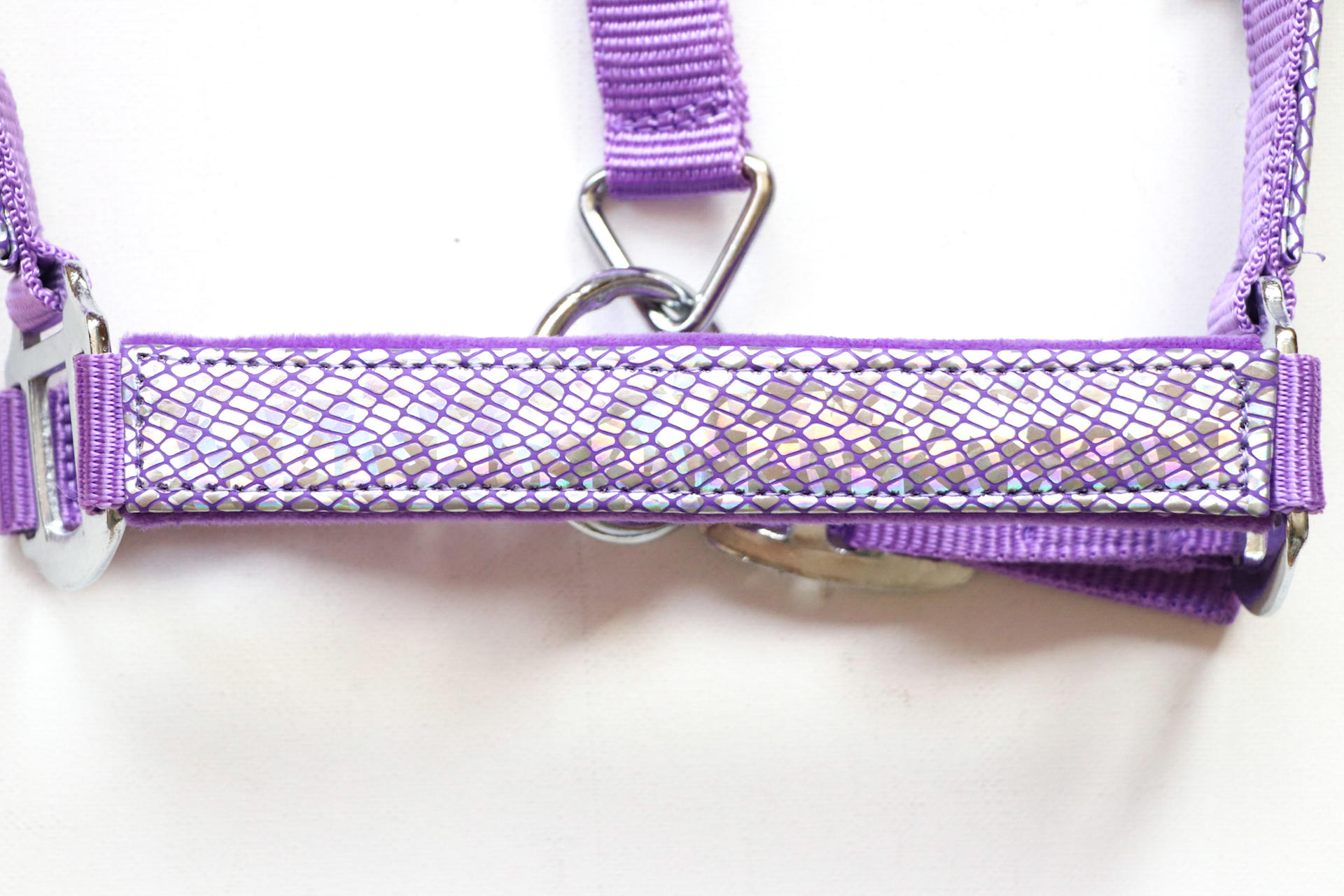 Shinny Headcollar, halter