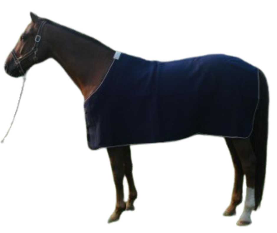 Grand Canyon Horse rug