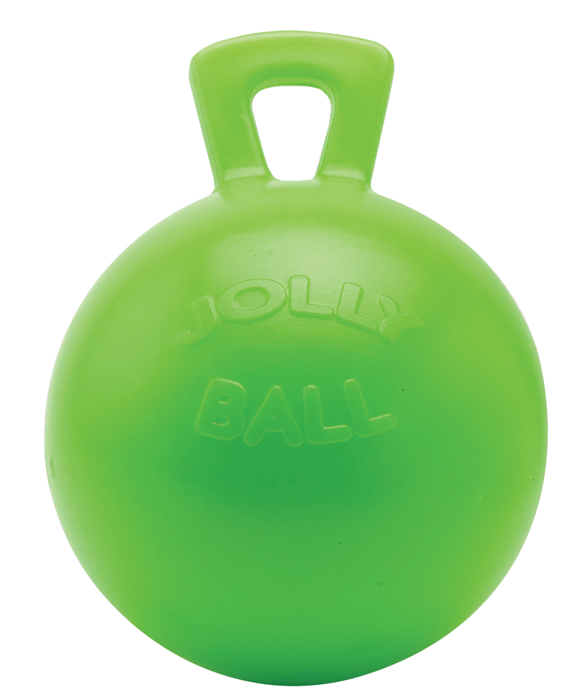 Play ball for horses 2
