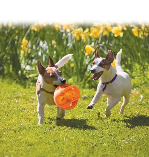 Jumbler ball L XL 17,7 cm dog toy