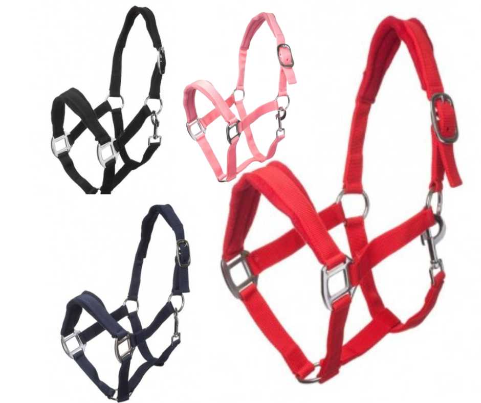 Trani headcollar, halter lined for shetland pony