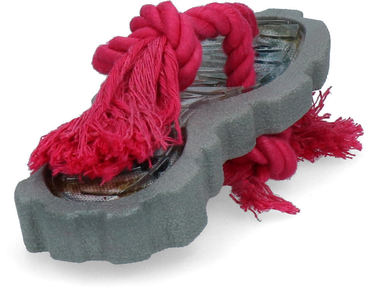 Dog chew toy with dental floss