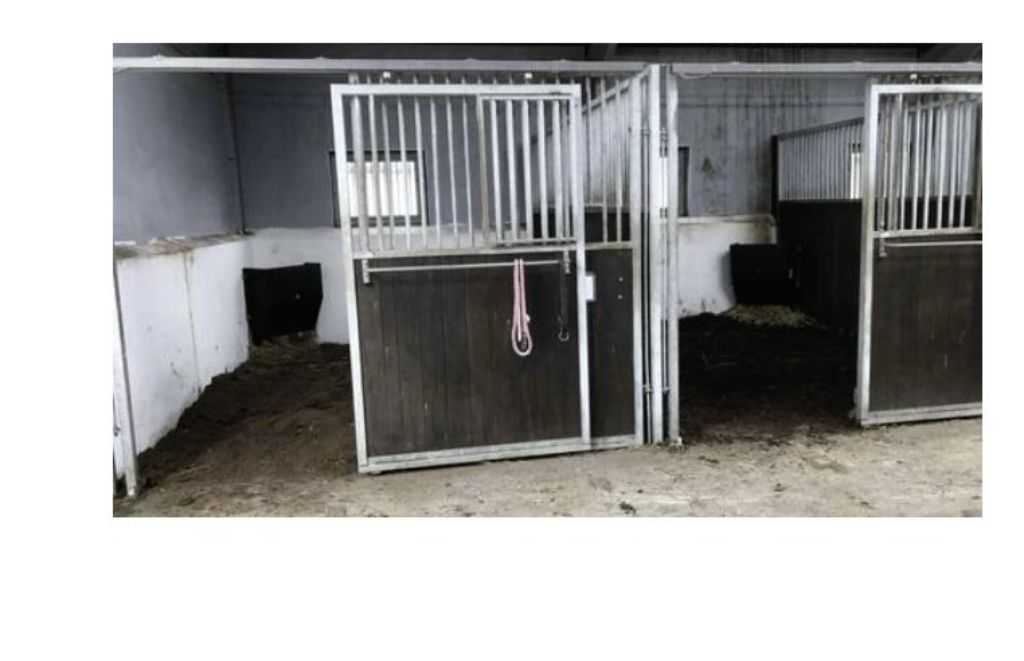 Hay feeder for horses