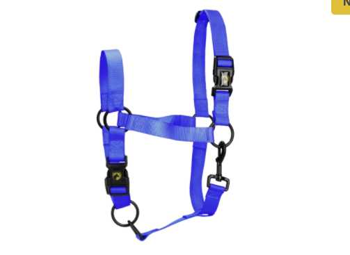 Monza Headcollar, halter