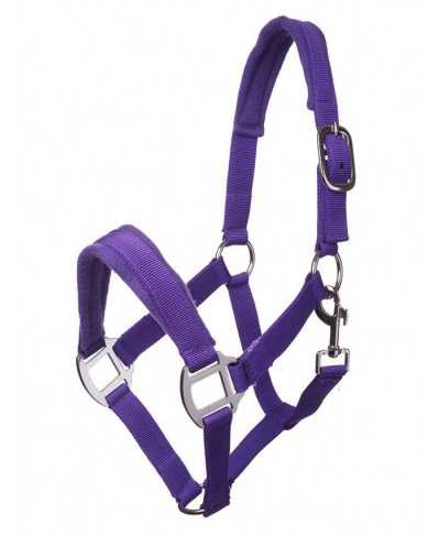 Trani headcollar, halter lined for shetland pony