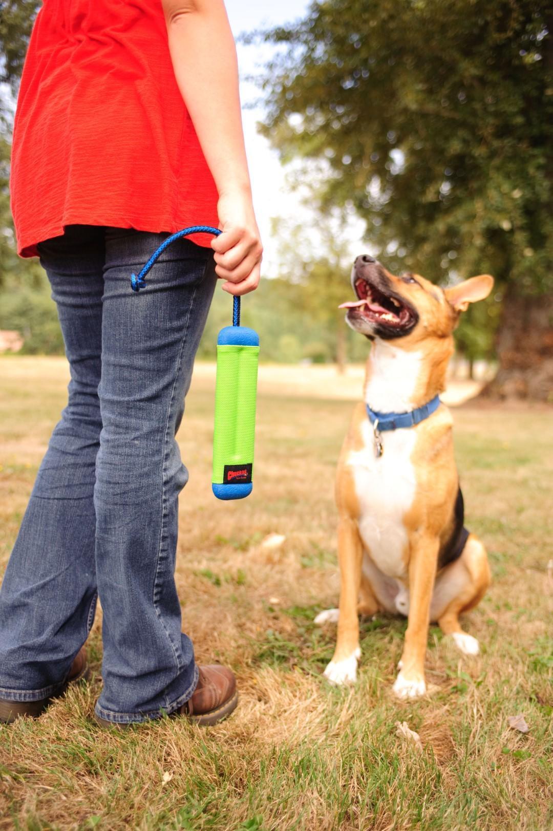 Small amphibious bumper-shaped dog toy