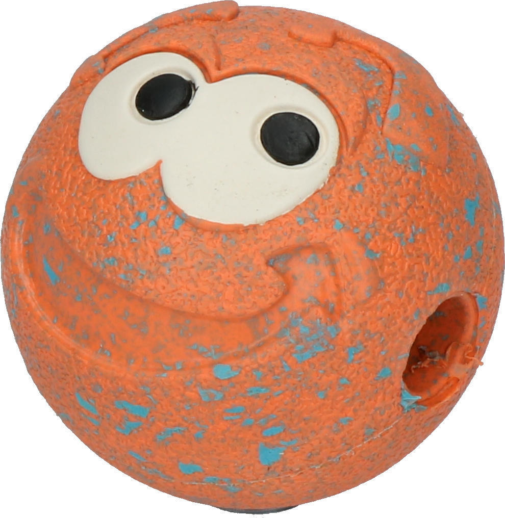 Remmy the playful dog ball