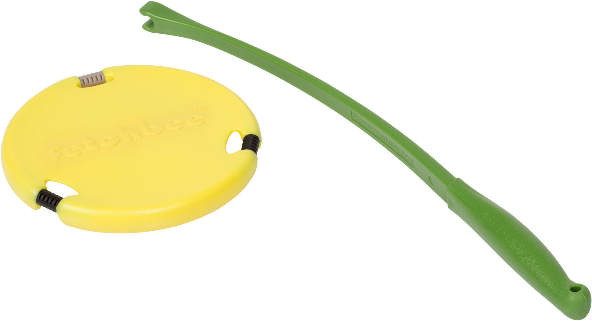 Yellow dog toy frisbee