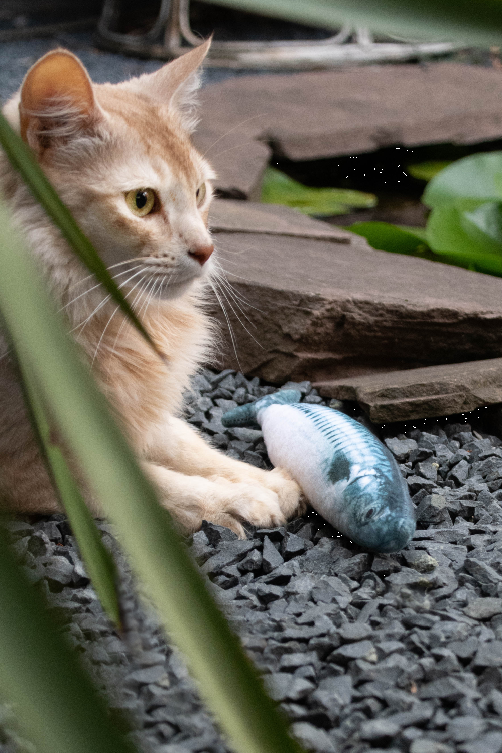 Fully hooked flounder S 20cm, cat toy