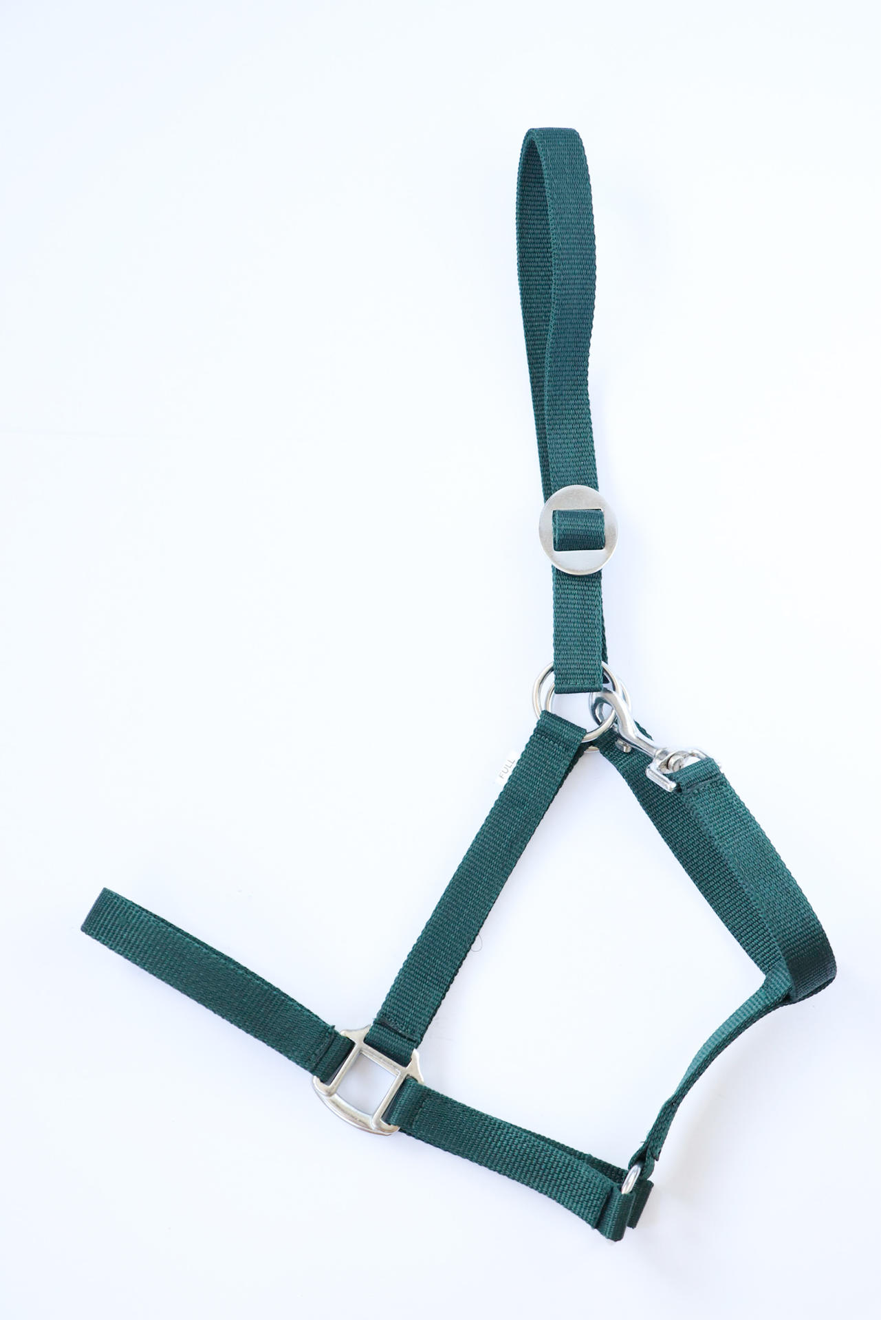 Apollo Nylon headcollar