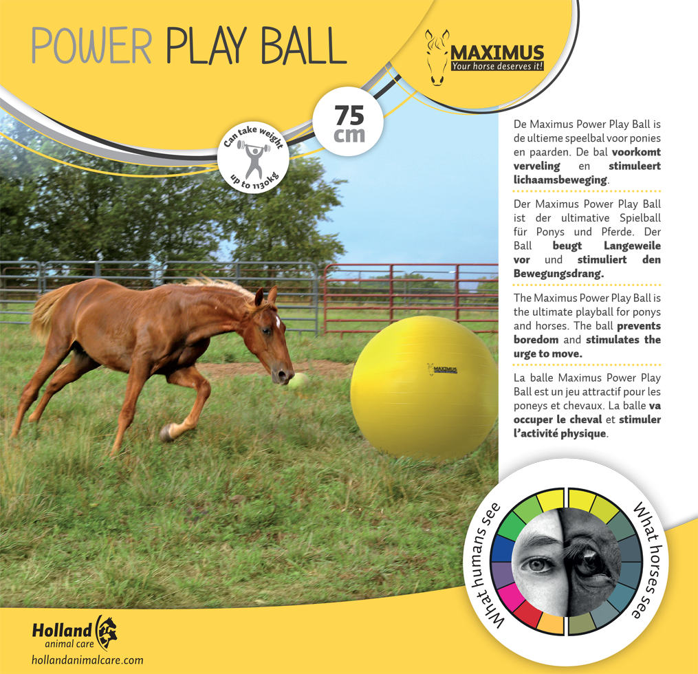 Power Play horse ball 75cm