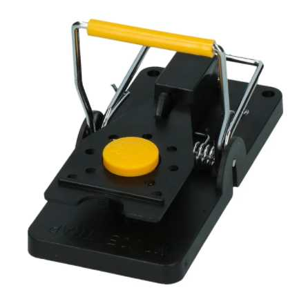 Mango flavoured allergen-free bait for rats to bait mice