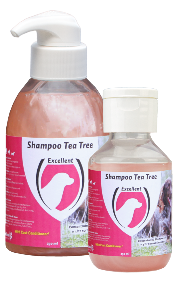 Dog shampoo Aloe Vera