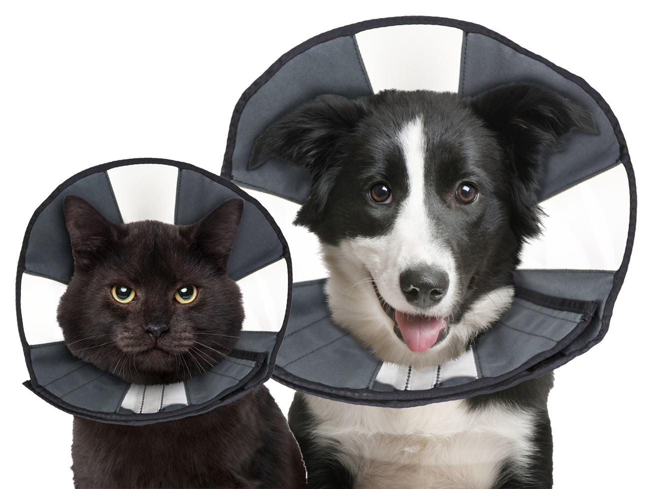 Dog protective collar with velcro S