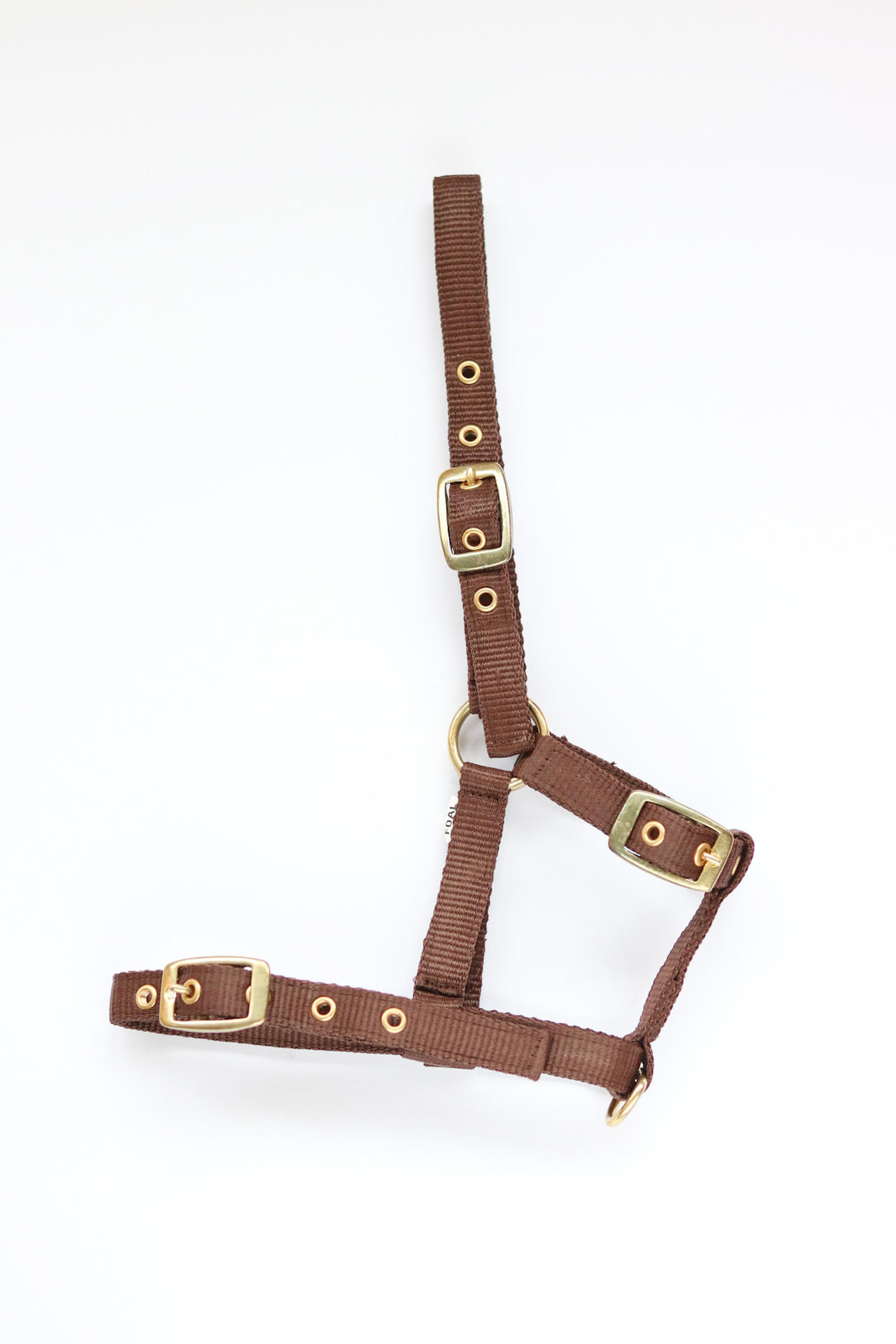 Amika headcollar
