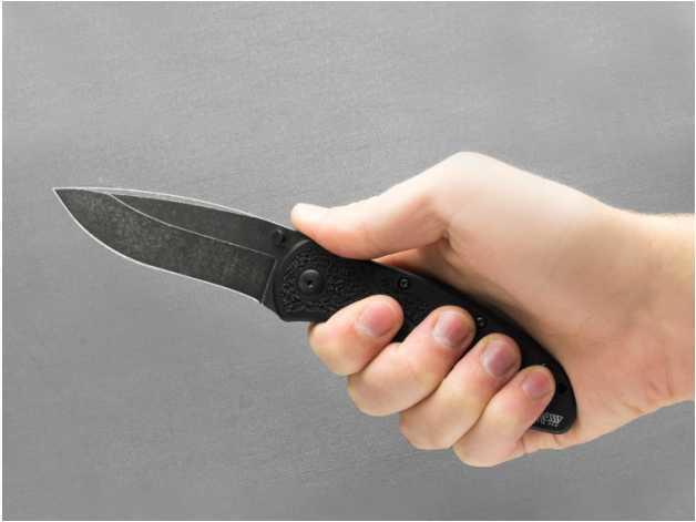 Blur 1670BW penknife