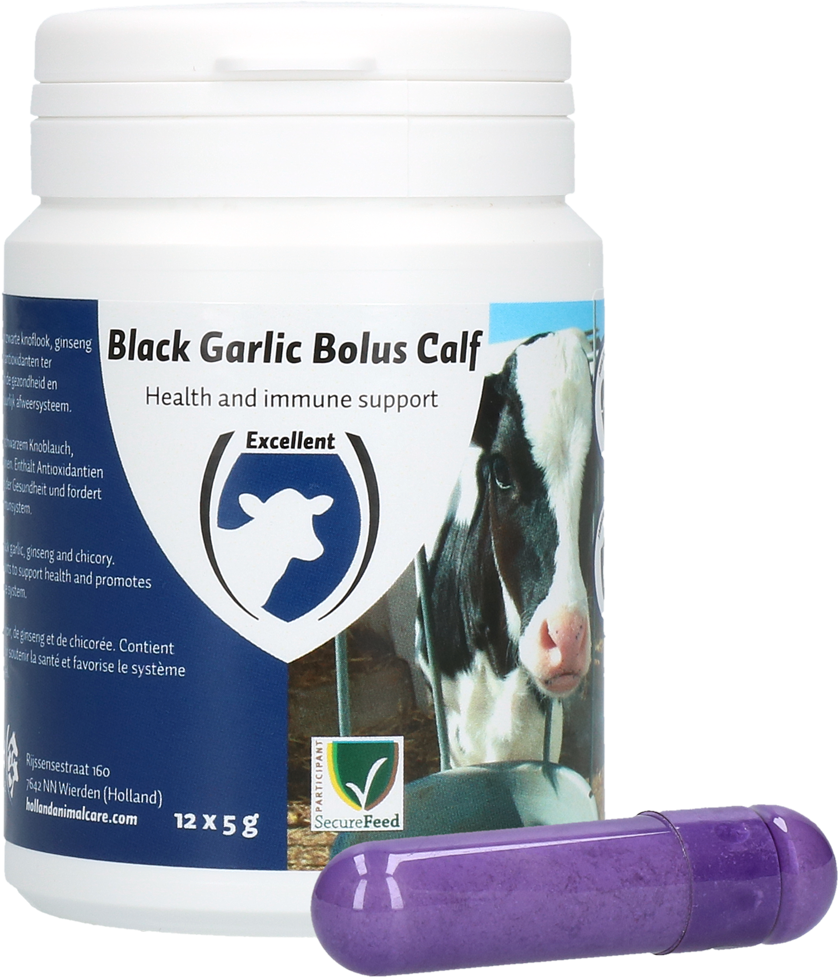Black garlic bolus calf cattle calf rearing