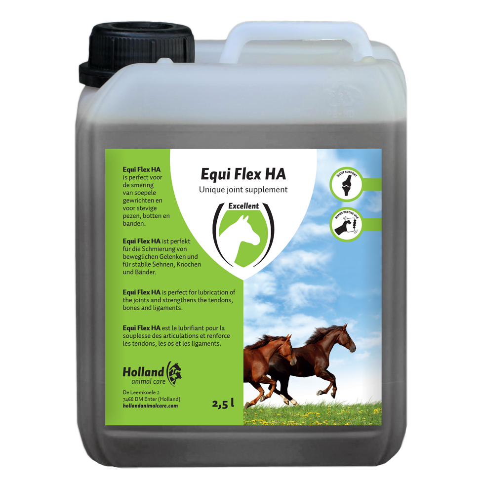 HA fluid horse health