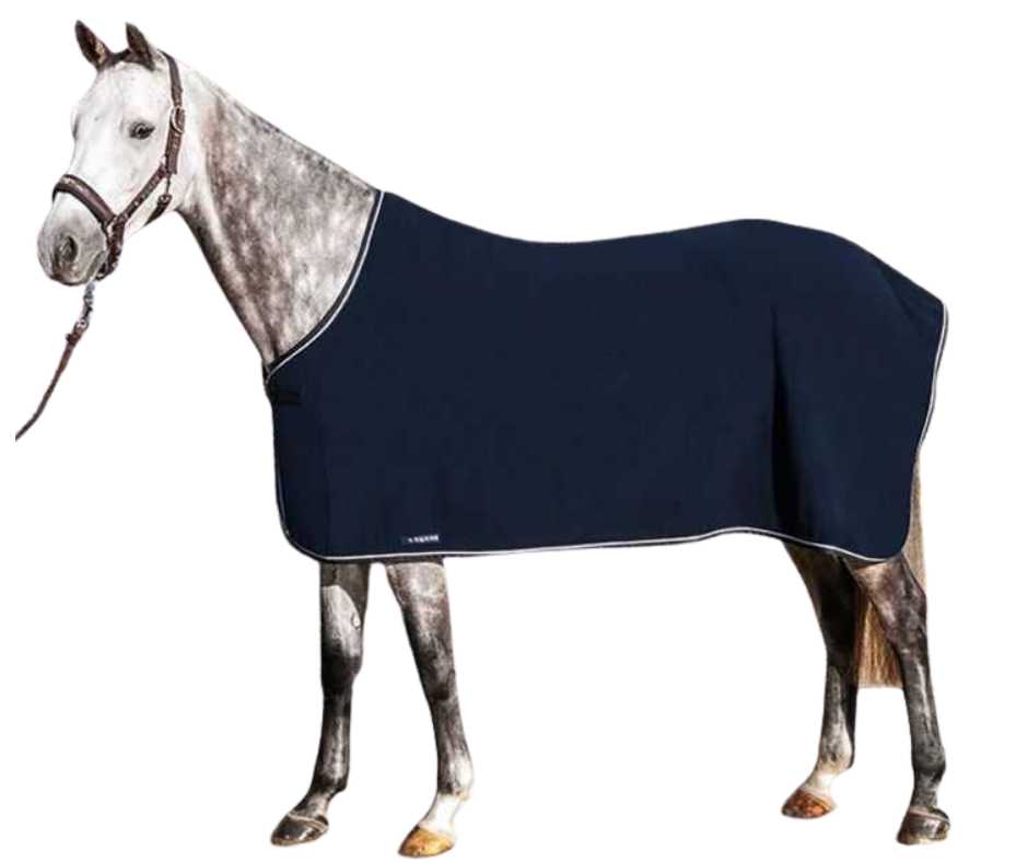 Leeds Walking horse rug