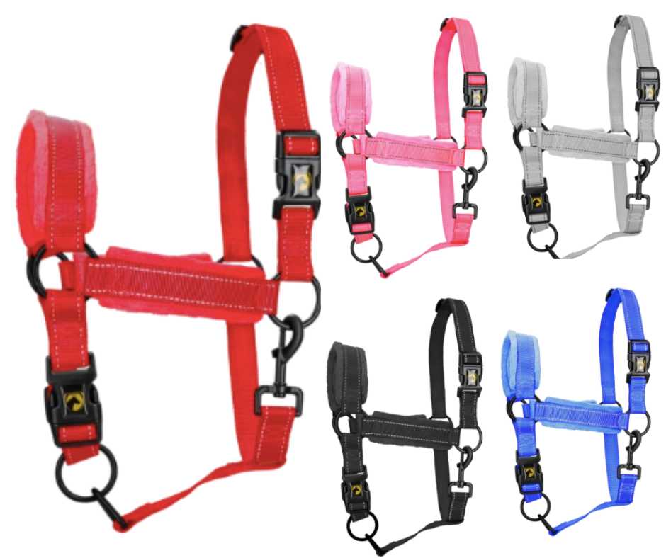 Monzo Headcollar,  halter