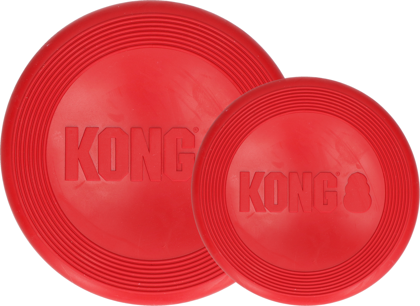 Frisbee big dog game