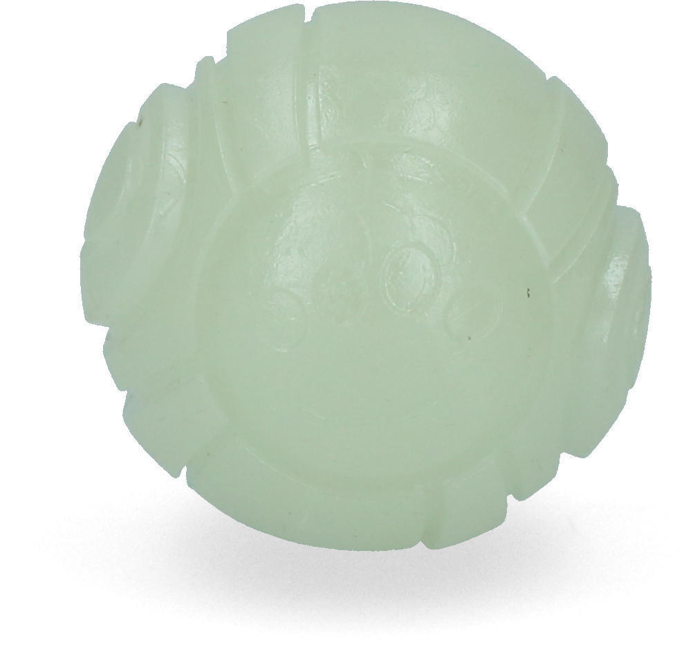 Glow in the dark dog ball