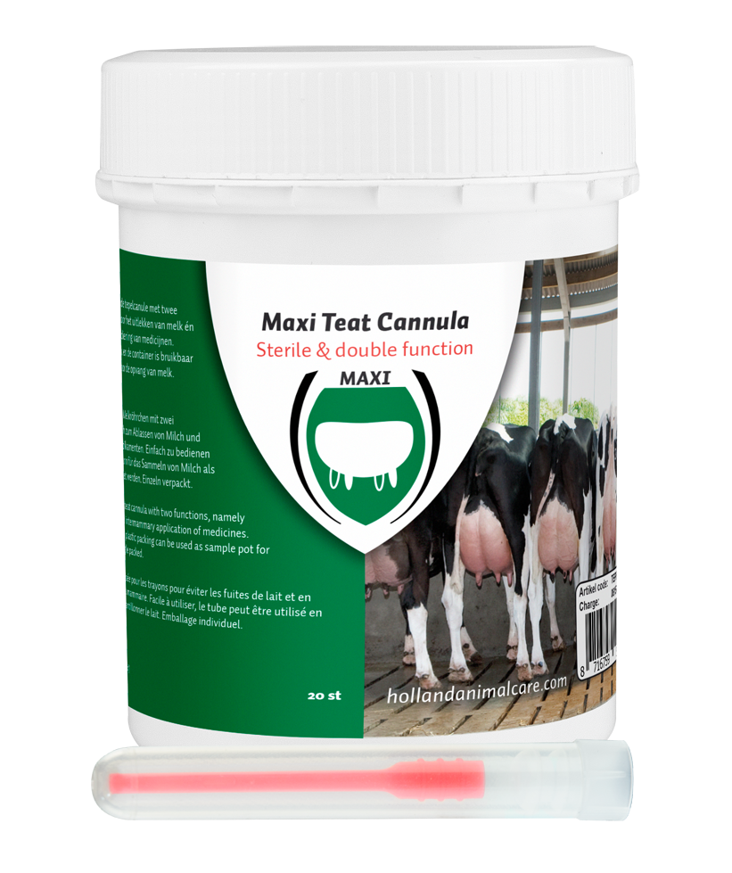 Maxi udder needle 55 mm plastic luer, cattle, udder care, wound care