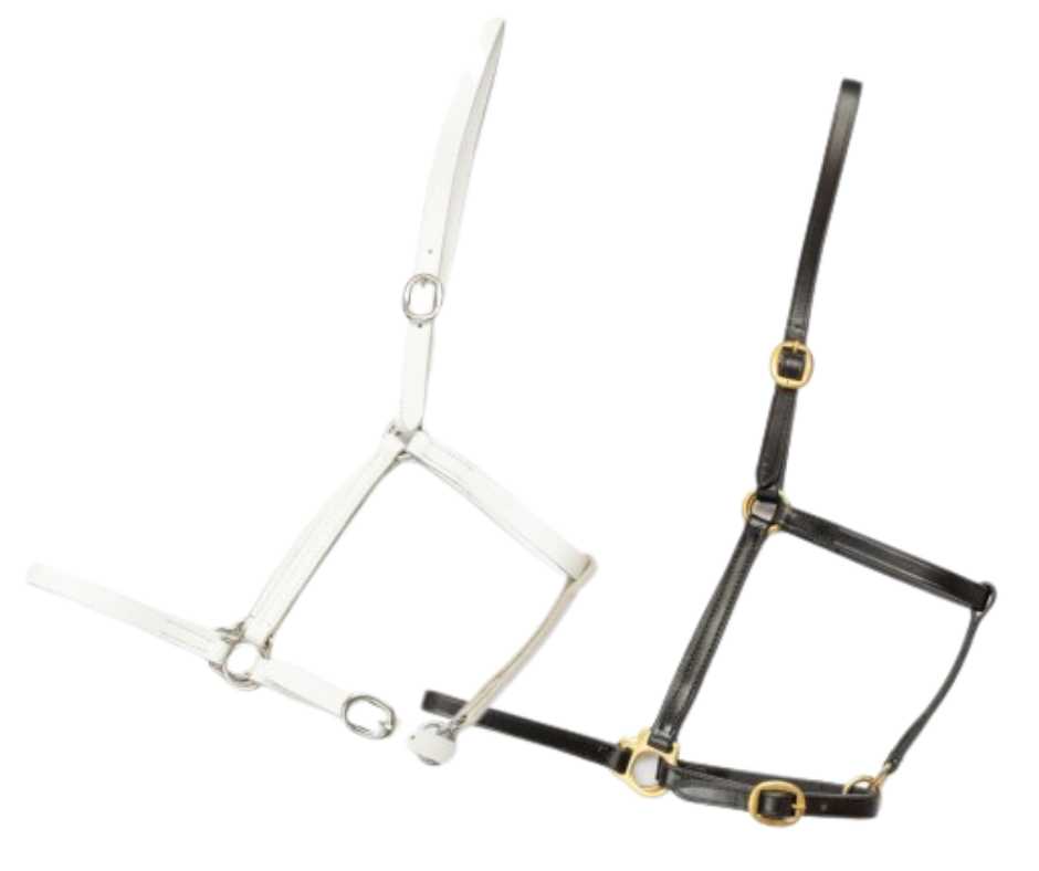 Salerno Leather headcollar, halter
