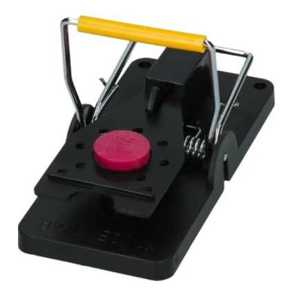 Poultry meat flavoured allergen-free bait for rats to bait mice