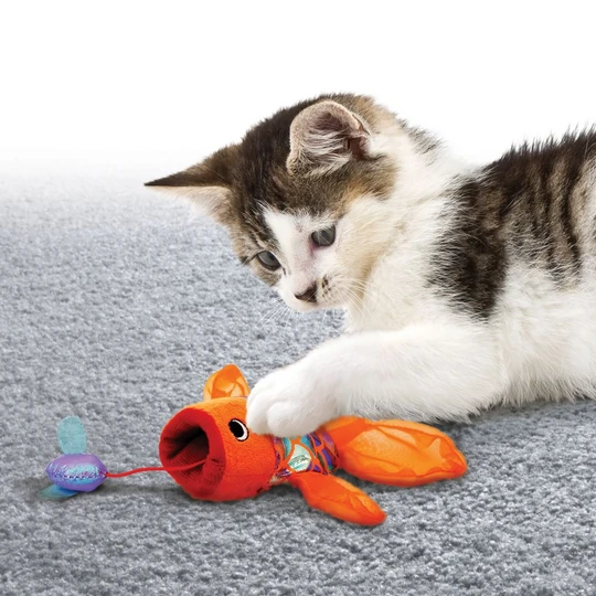 Brightly coloured fish cat toy