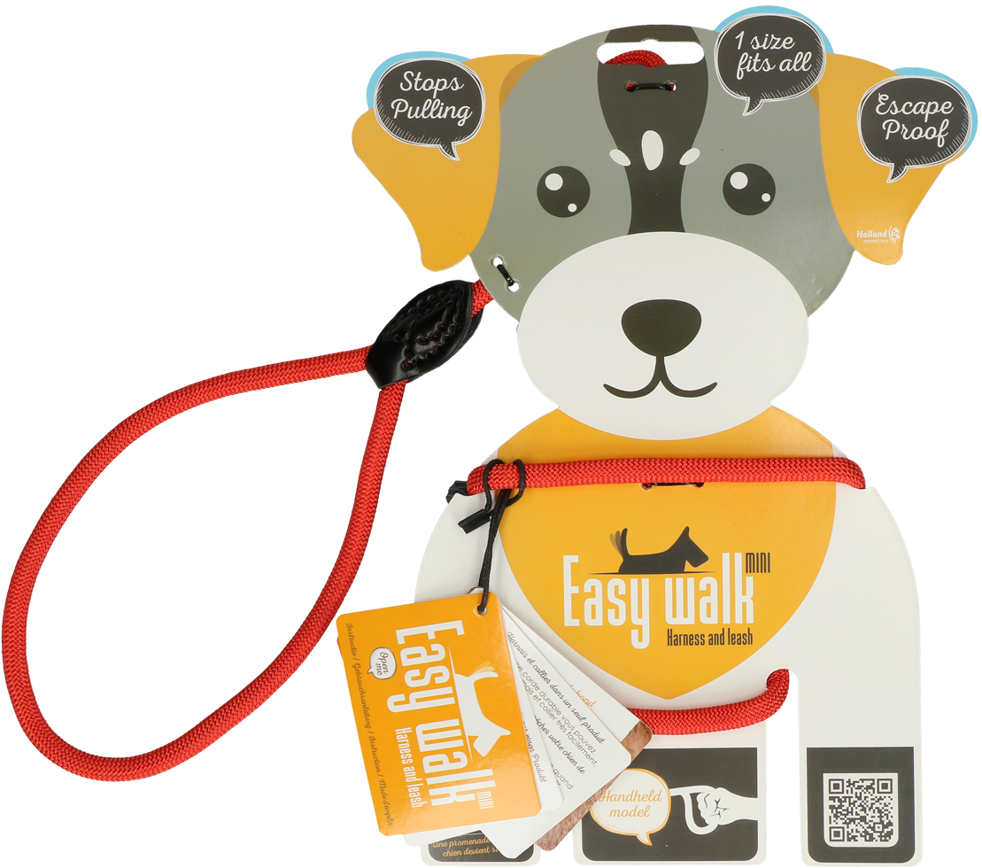 Leash and harness 2in1 mini