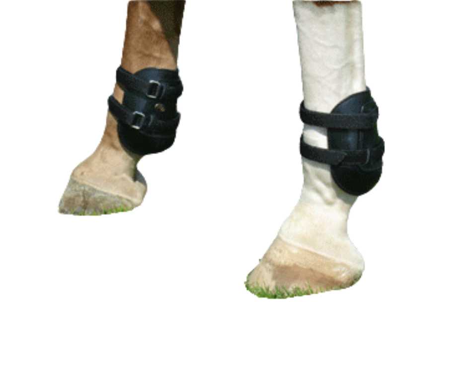 Kitty fetlock boots