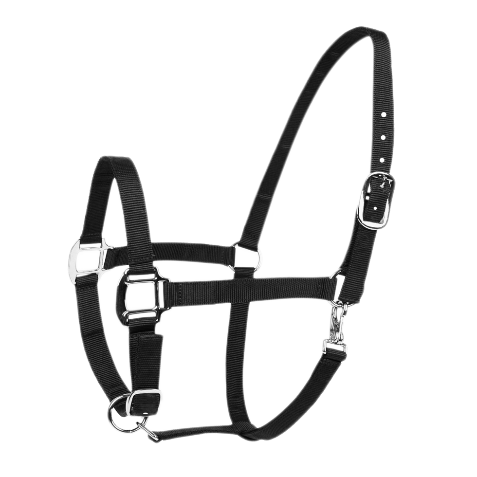 Lucerna Headcollar and halter