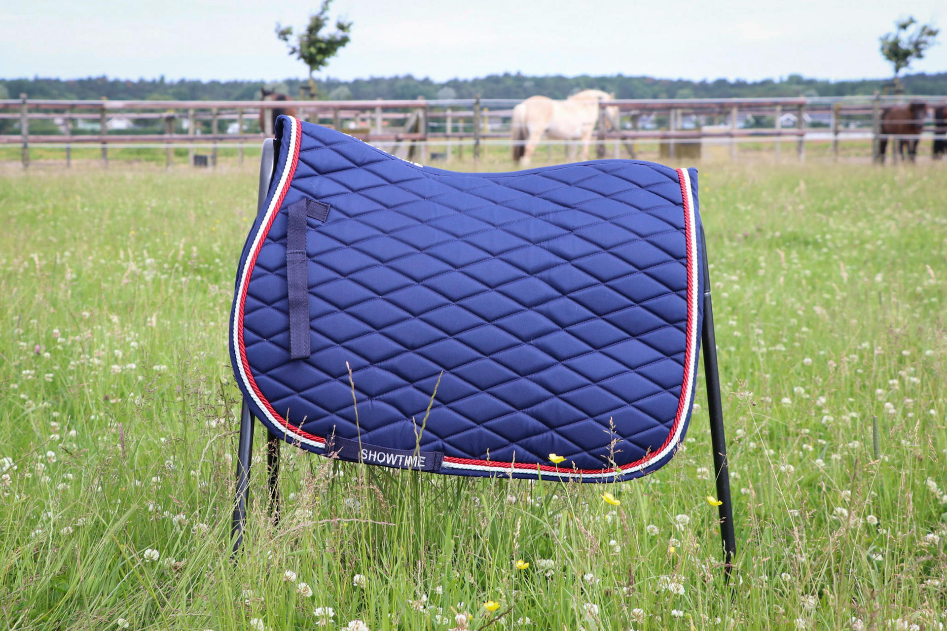 Showtime Reni Dressage saddle pad