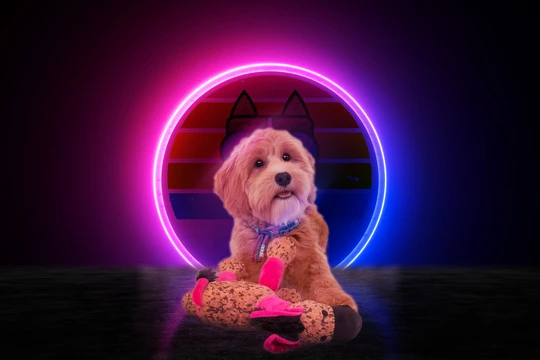 Retro donkey pink S dog toy