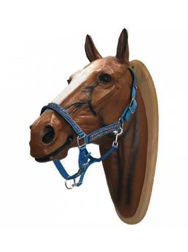 Volla Headcollar, halter