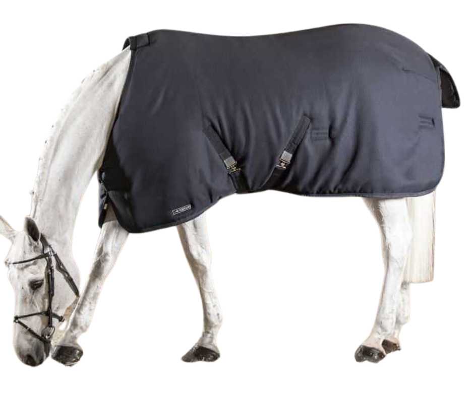 Atlanta Stable Rug 0g