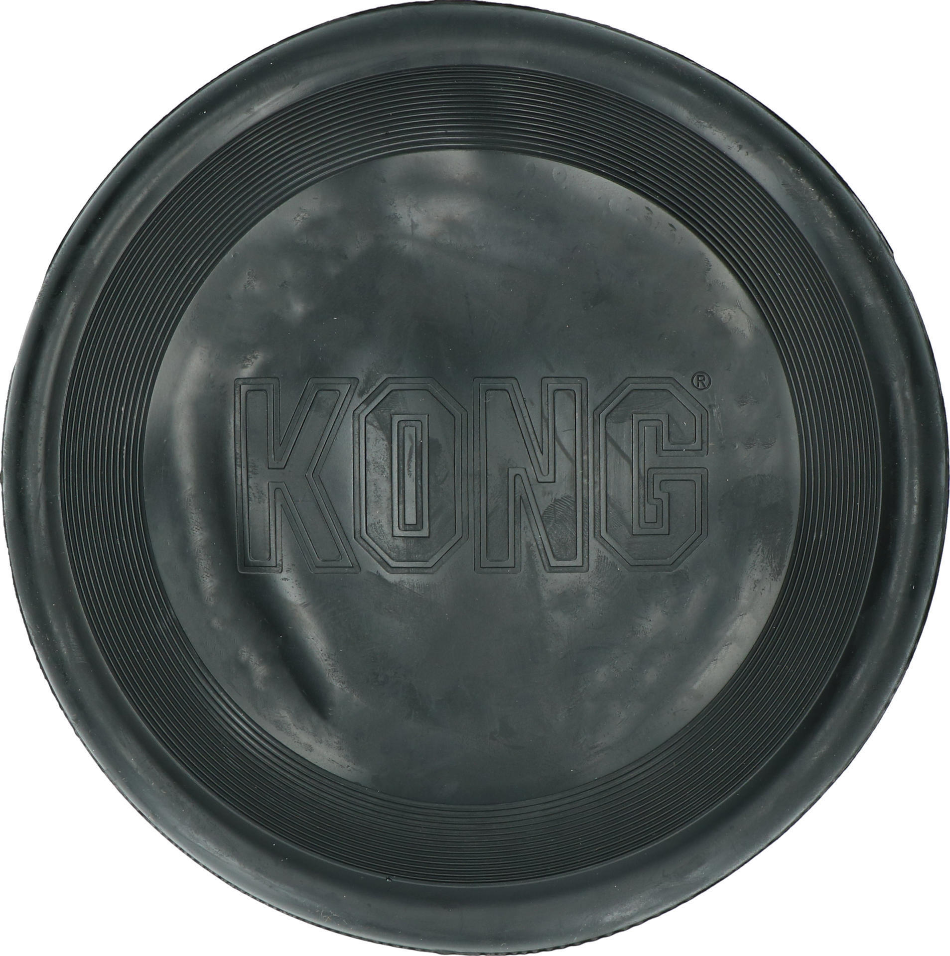 Big frisbee dog game