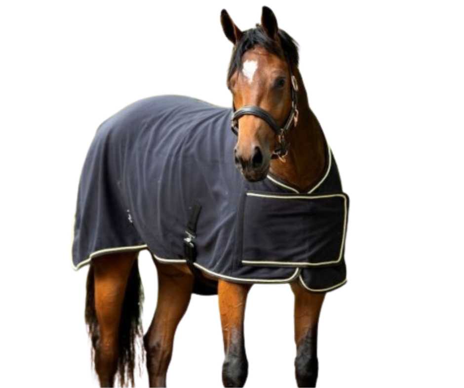 Niky horse rug