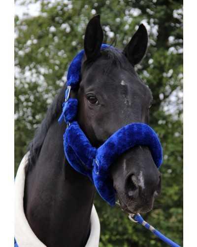 Desire Showtime Headcollar, halter