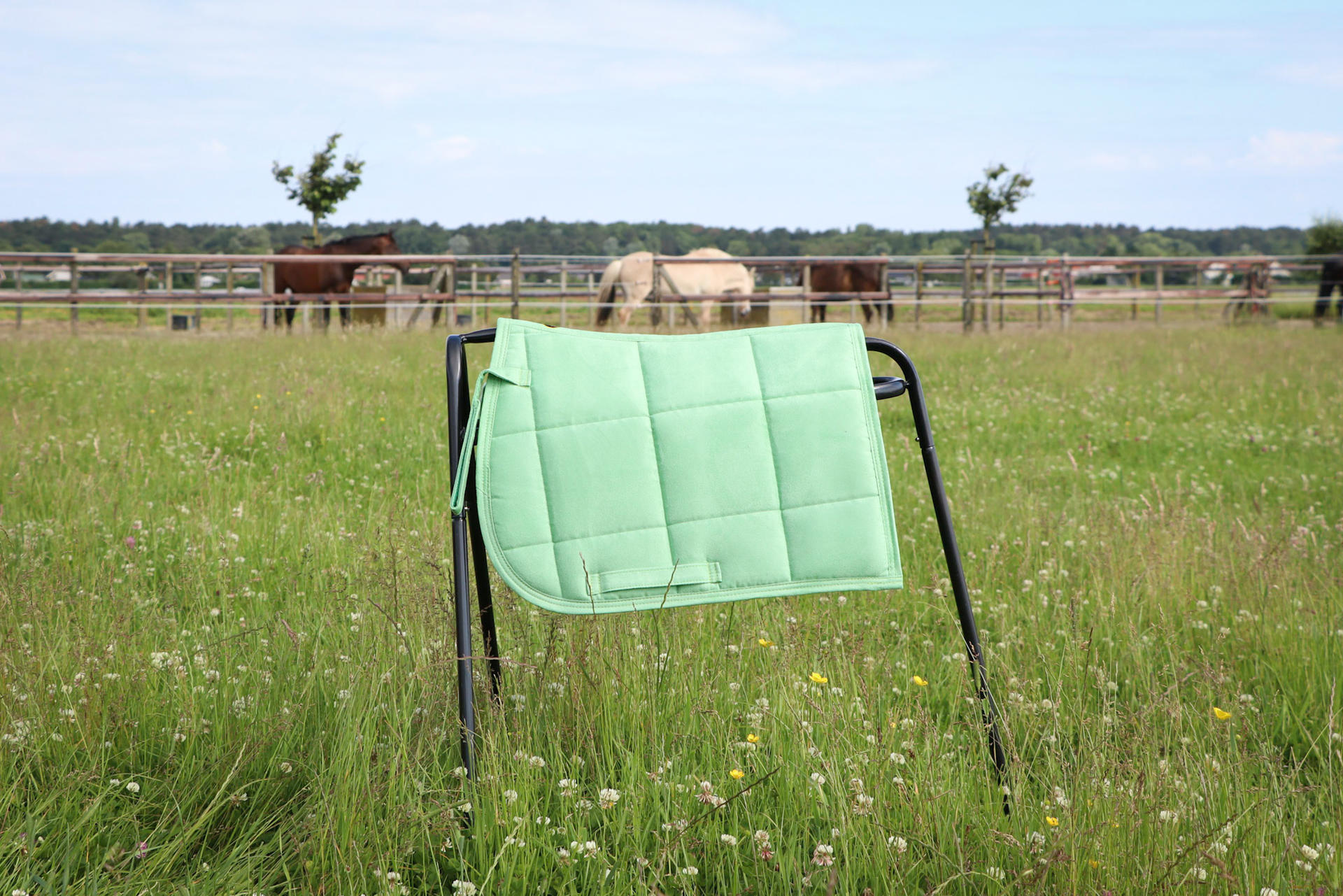 Saddle pads for Shetland pony