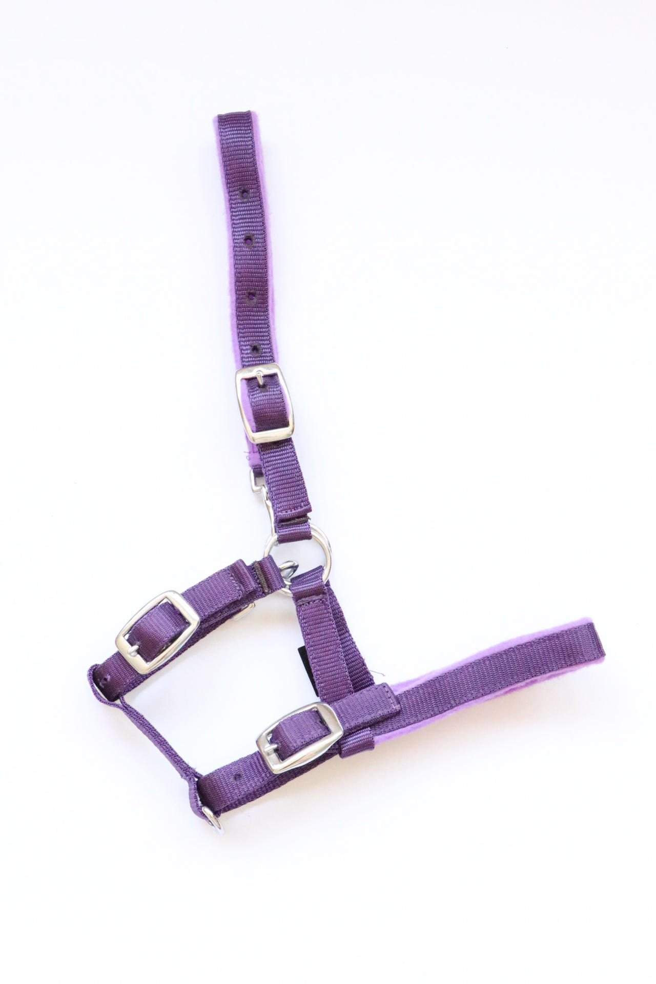 Melfi headcollar, halter for foal